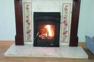 View 4 from project Solid Fuel Inset Stoves